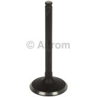 Engine Intake Valve