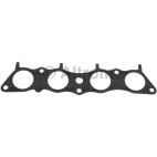 Fuel Injection Plenum Gasket