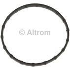 Engine Coolant Thermostat O-Ring