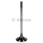 Engine Intake Valve