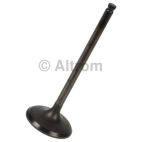 Engine Intake Valve