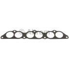 Fuel Injection Plenum Gasket