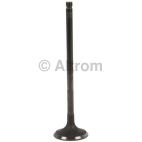 Engine Exhaust Valve