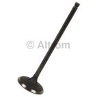 Engine Intake Valve