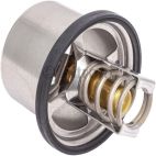 Engine Coolant Thermostat