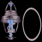 Engine Coolant Thermostat