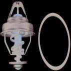 Engine Coolant Thermostat