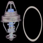 Engine Coolant Thermostat