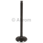 Engine Intake Valve