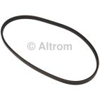 Serpentine Belt