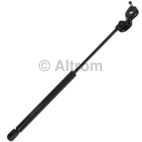 Hood Lift Support