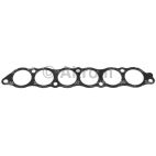 Fuel Injection Plenum Gasket