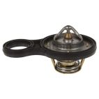 Engine Coolant Thermostat