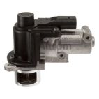 Exhaust Gas Recirculation (EGR) Valve
