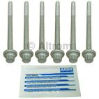 Engine Cylinder Head Bolt Set