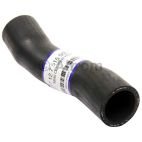 Radiator Coolant Hose