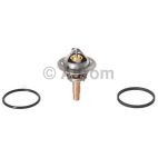 Engine Coolant Thermostat