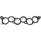 Fuel Injection Plenum Gasket