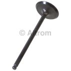 Engine Intake Valve