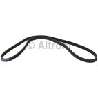 Serpentine Belt