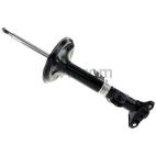 Suspension Strut