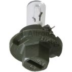Instrument Panel Light Bulb