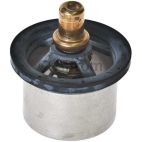 Engine Coolant Thermostat