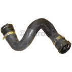 Radiator Coolant Hose