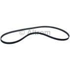 Serpentine Belt