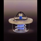 Engine Coolant Thermostat