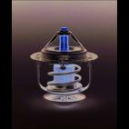Engine Coolant Thermostat