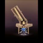 Engine Coolant Thermostat