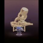 Engine Coolant Thermostat