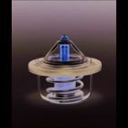 Engine Coolant Thermostat