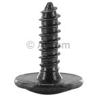 Body Bolt