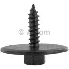 Body Bolt