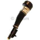 Air Suspension Strut