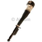 Air Suspension Strut