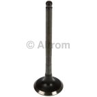 Engine Exhaust Valve