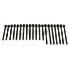 Engine Cylinder Head Bolt Set