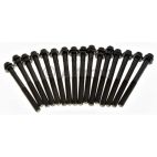 Engine Cylinder Head Bolt Set