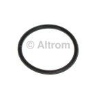 Fuel Injection Nozzle O-Ring