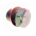 Engine Oil Drain Plug