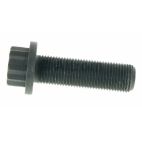 Engine Crankshaft Bolt
