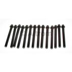 Engine Cylinder Head Bolt Set