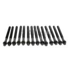 Engine Cylinder Head Bolt Set