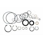 Power Steering Pump Seal Kit