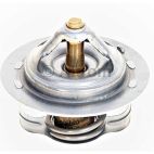 Engine Coolant Thermostat