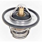 Engine Coolant Thermostat