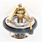 Engine Coolant Thermostat